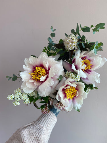 Peony Bouquet, locally grown flowers for delivery